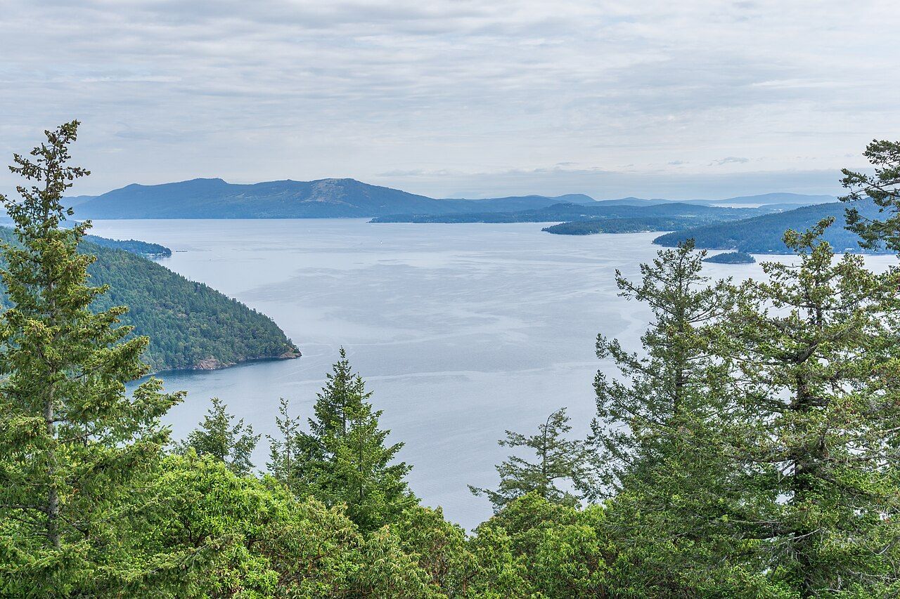 Looking north over Saanich Inlet from forested slopes above the water, with islands and mountains beyond