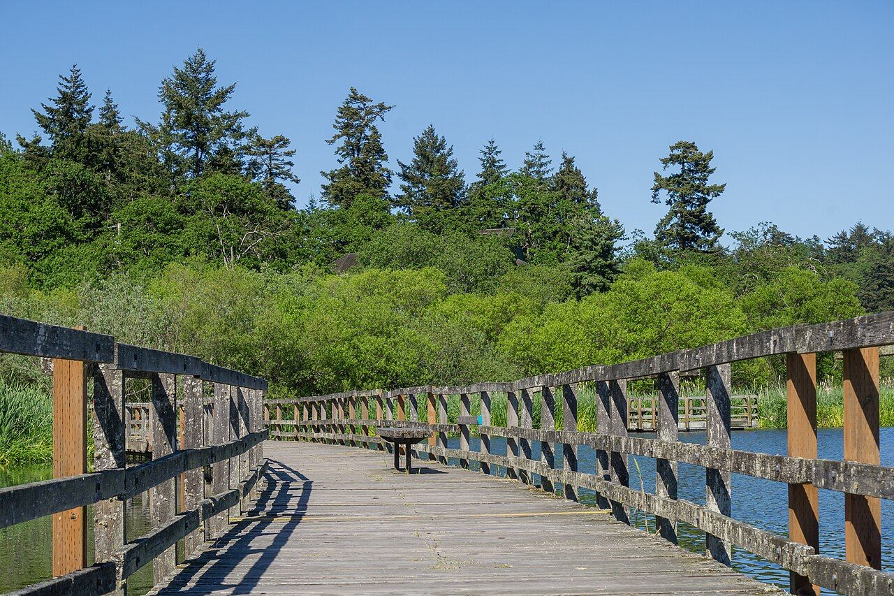 A wooden boardwalk crossing a marsh toward trees